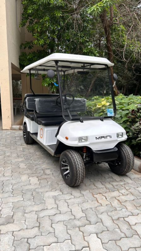 Electric Golf Cart Buggy Rental Services