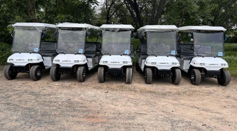 Electric Golf Cart Buggy Rental Services