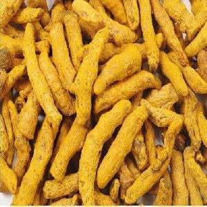 Double Polished Turmeric Finger