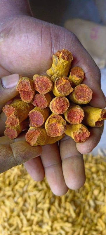 Dried Turmeric Finger