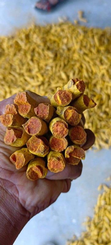 Dried Turmeric Finger