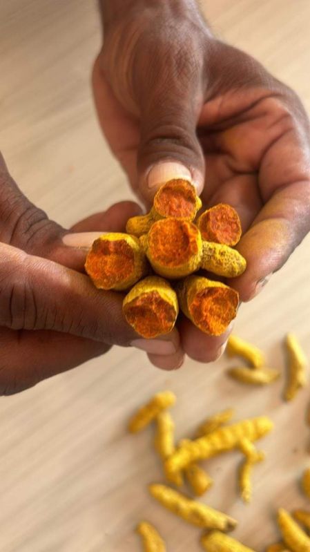 Dried Turmeric Finger