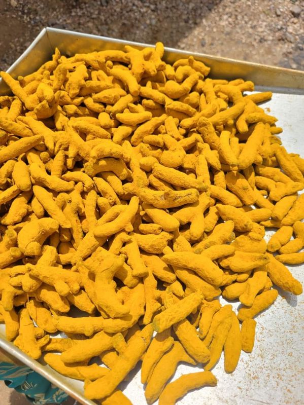 Dried Turmeric Finger