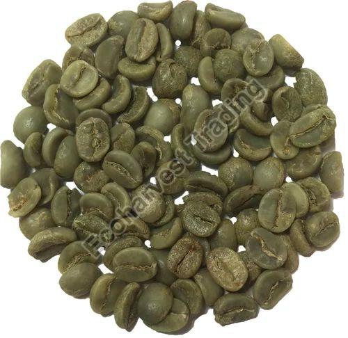 Arabica Green Coffee Beans