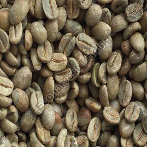 Robusta Cherry B Unwashed Coffee Beans