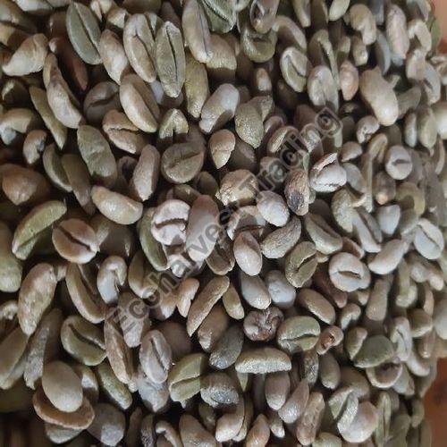 Unwashed Robusta Cherry C Green Coffee Beans