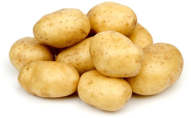 Organic Fresh Potato, Packaging Size : 10-50kg