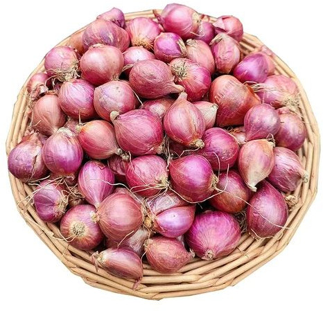 Fresh Small Red Onion for Cooking