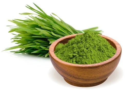 Organic Wheat Grass Powder