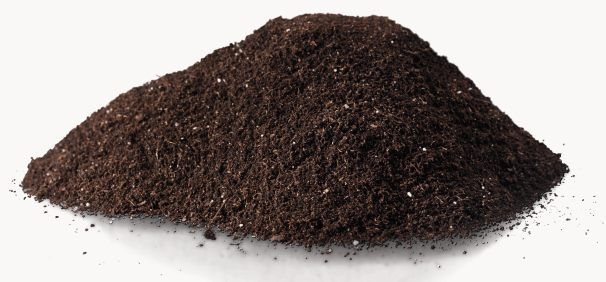 Cow Dung Fertilizer