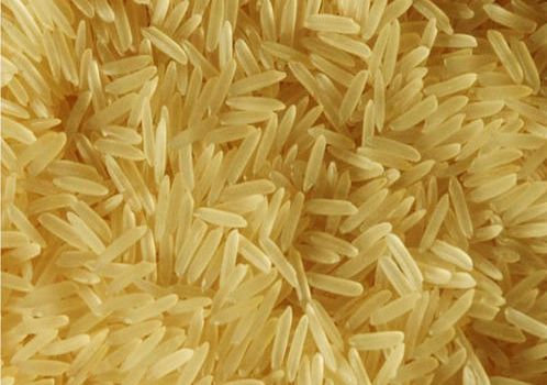 PR14 Golden Sella Basmati Rice