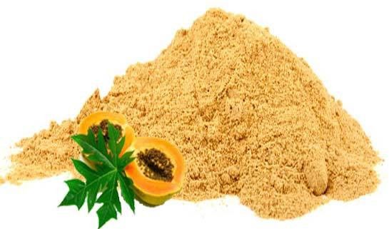papaya fruit powder