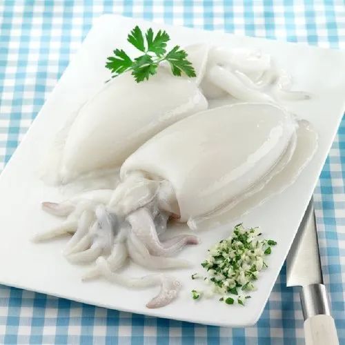 Frozen Cuttlefish