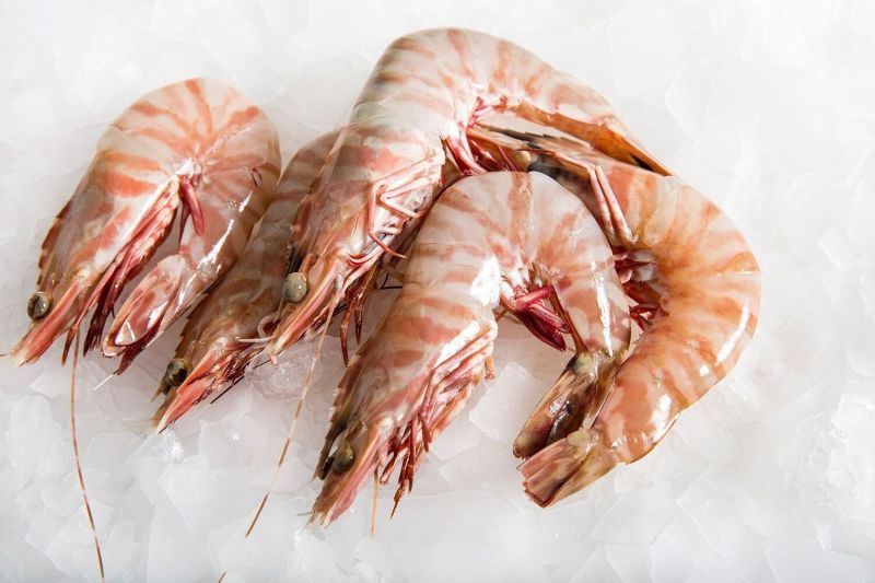 Frozen Sea Tiger Shrimp