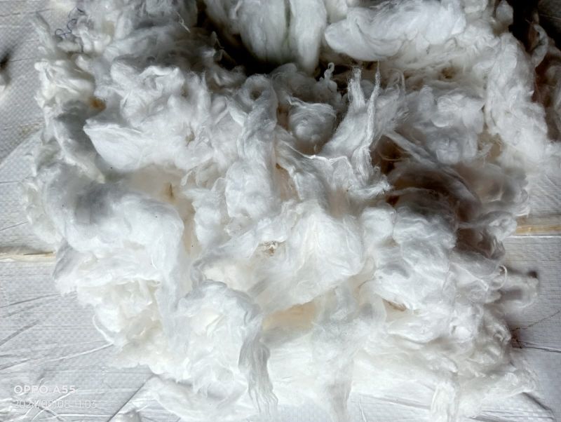 Bleached Cotton Yarn