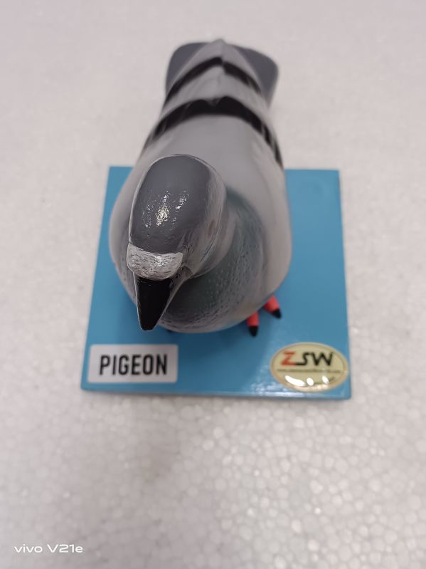 Pigeon Model