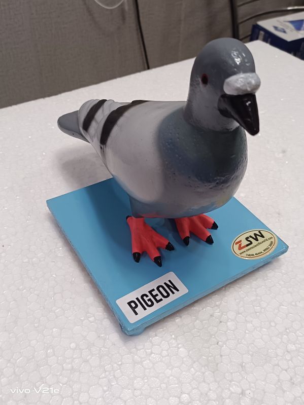 Pigeon Model