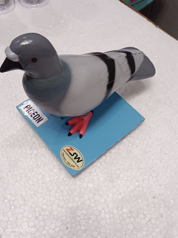 Pigeon Model