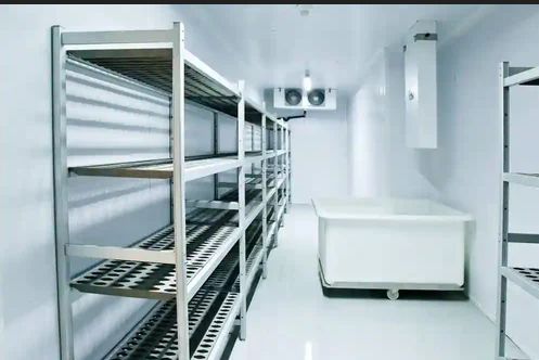 Cold Storage Services