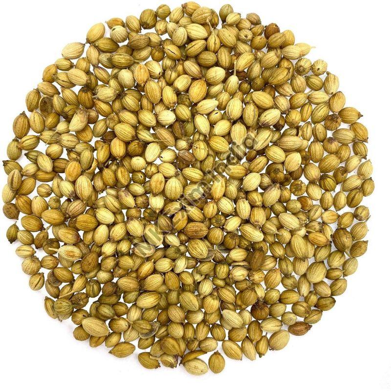 Coriander Seeds