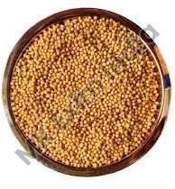 mustard seeds