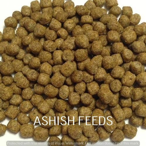 Floating Fish Feed Pellets