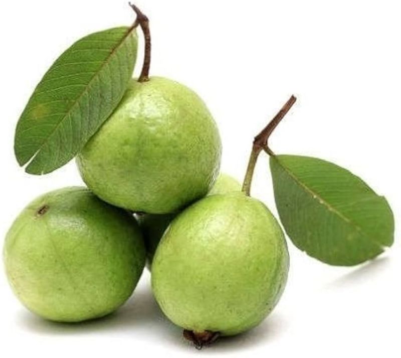 fresh guava