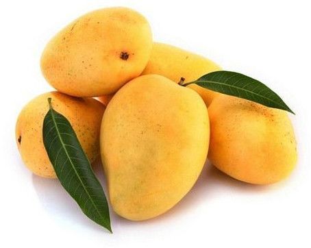 fresh kesar mango