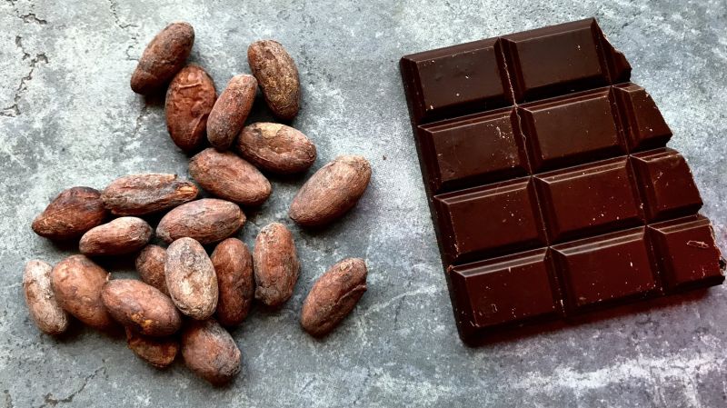 Bean-to-Bar Chocolate