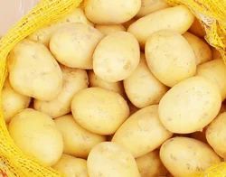 fresh potato