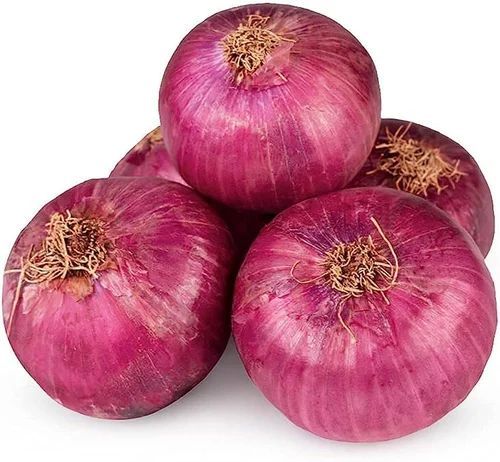fresh red onion