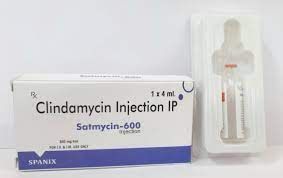 satmycin-600 Injection