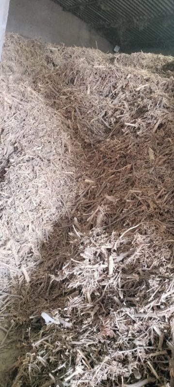 Babool Wood Fuel Chips