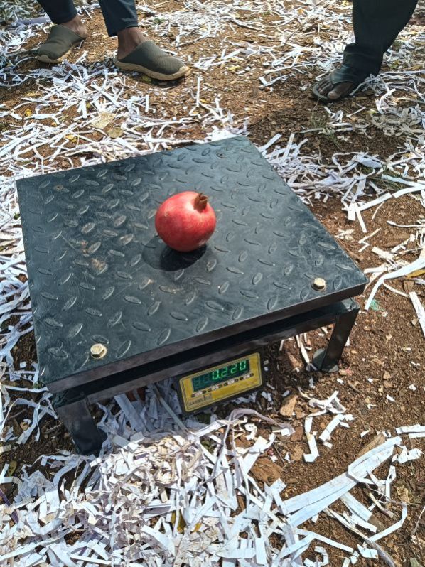 Fresh Pomegranate