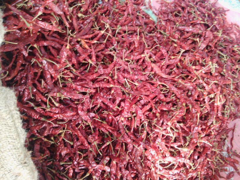 Guntur Red Chilli