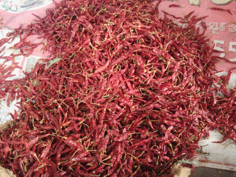 Guntur Red Chilli