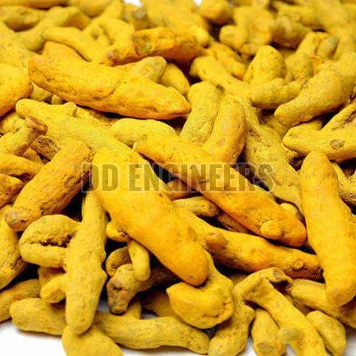 Alleppey Turmeric Finger