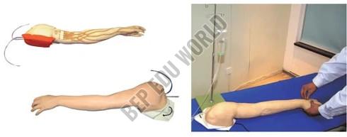 Full Functional IV Training Manikin