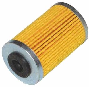 Bajaj Pulsar NS 200 Oil Filter