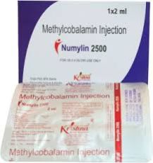 Numylin 2500 Injection