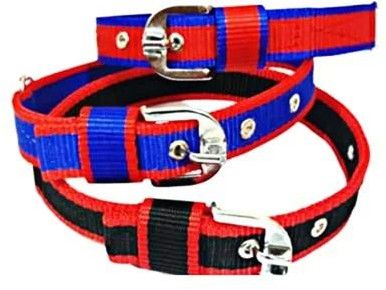 PP Dog Collar