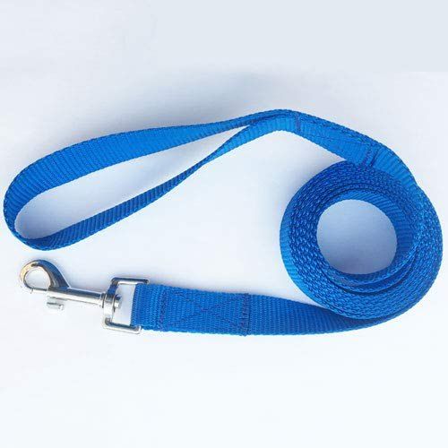Blue Nylon Dog Leash