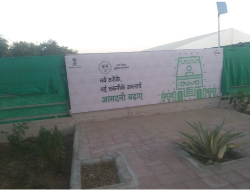 branding design services