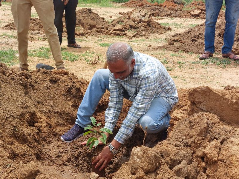 Farm Plots