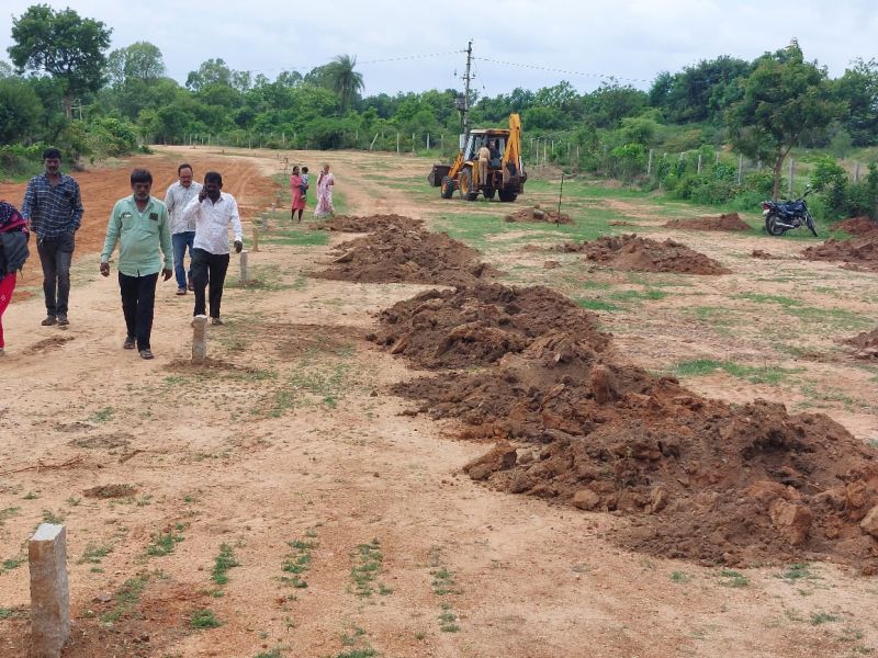 Farm Plots