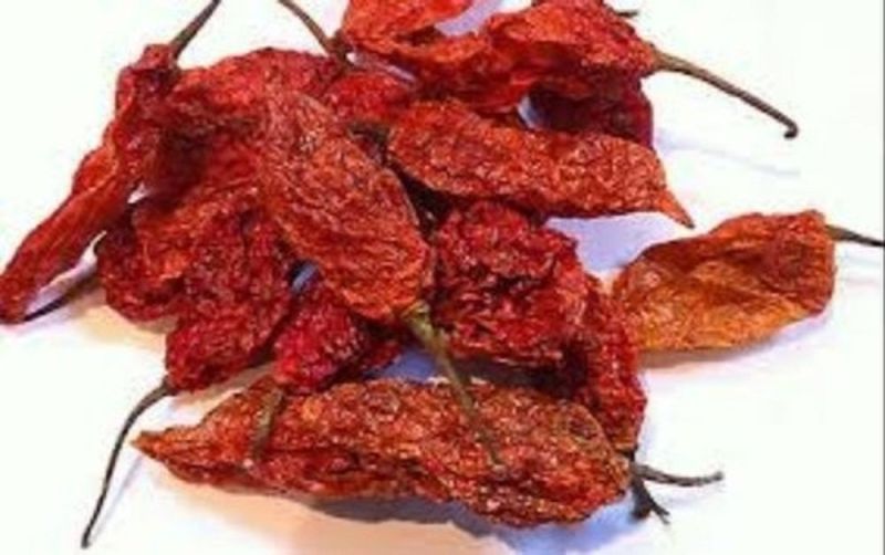 Bhut Jolokia Dry Red Chilli