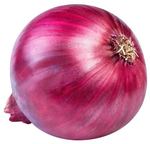 Fresh Big Size Red Onion