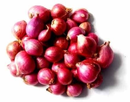 Fresh Small Size Red Onion