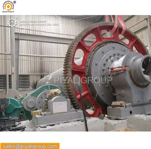 Pinion Gear Shaft Assembly