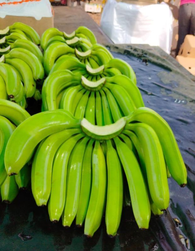 Fresh Banana Fruit